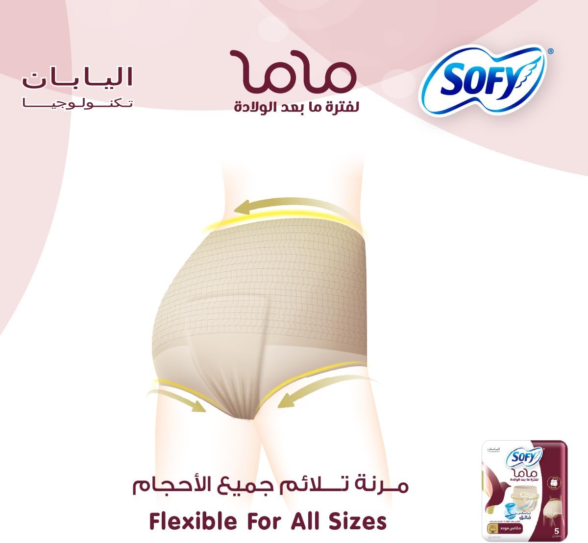 Sofy Mama Post-Birth Panties, Pack of 5 Pants